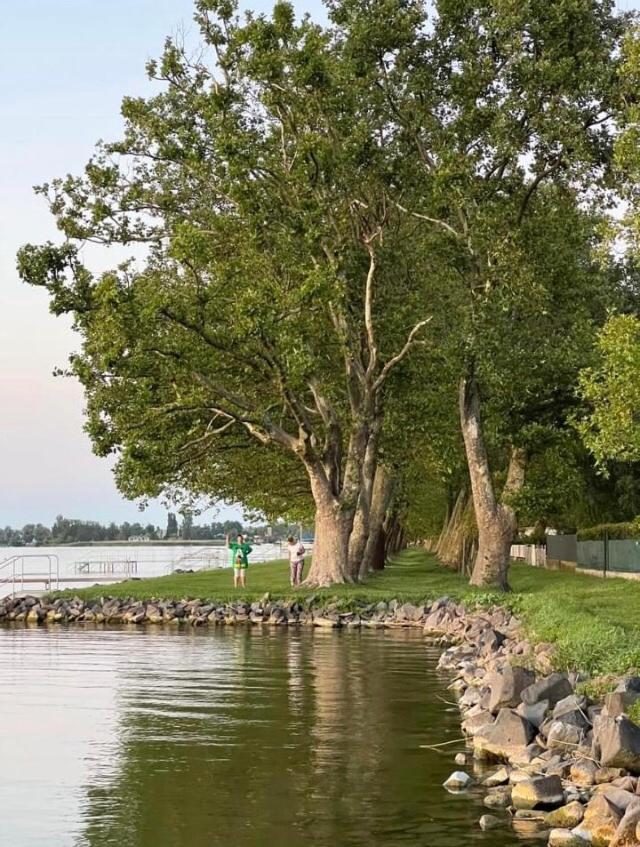 Rózsa nyaralóház Balatonboglár Esterno foto