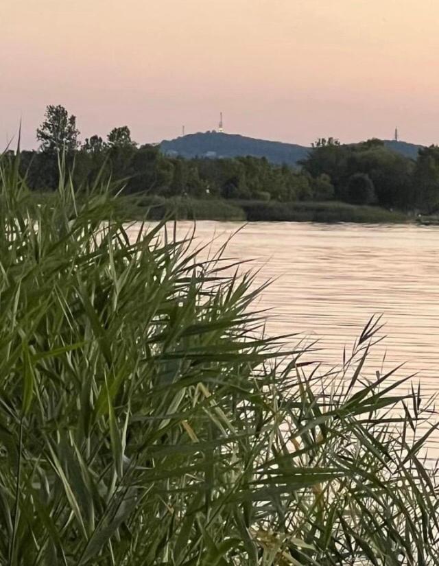 Rózsa nyaralóház Balatonboglár Esterno foto