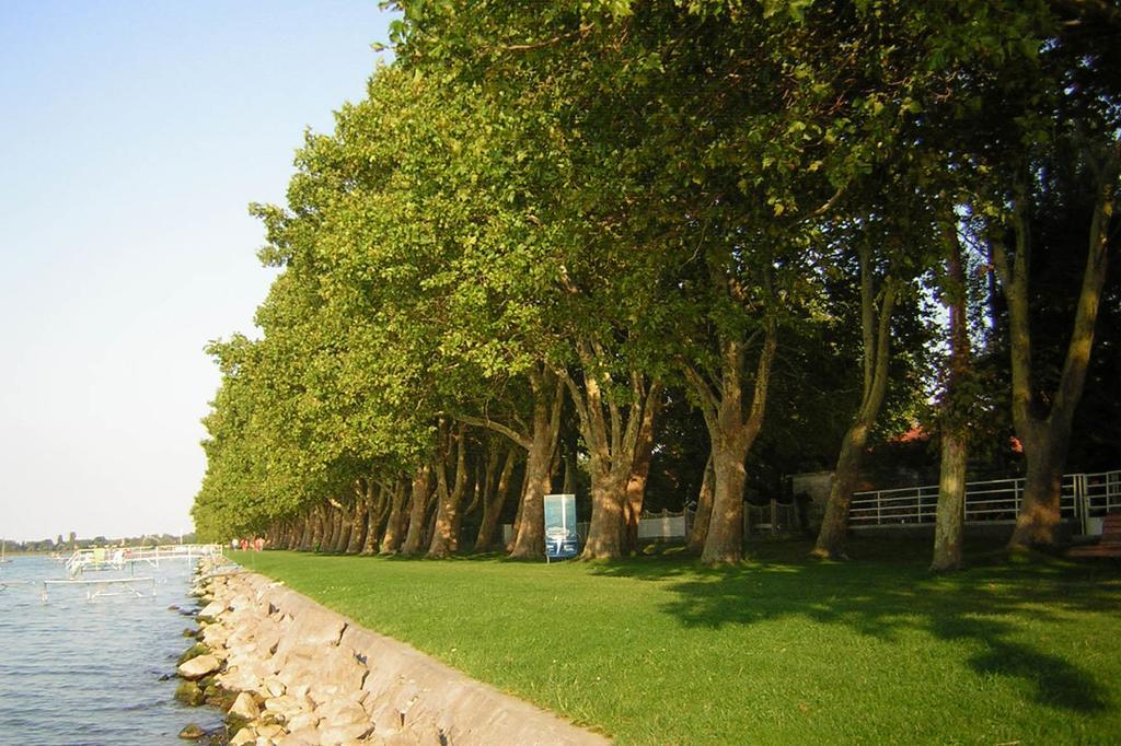 Rózsa nyaralóház Balatonboglár Esterno foto